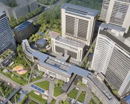 贵阳供卵盲选与私立试管费用解析及唐筛数据性别预测准确性探讨