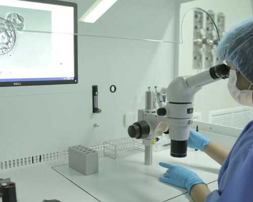 2026年供卵试管生男孩费用解析与医院选择指南