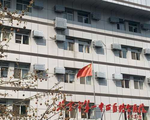 马来西亚试管婴儿年龄与成功率关系解析