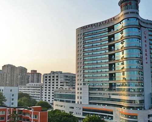 43岁高龄女性试管婴儿成功率解析与提升策略