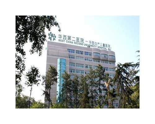 探寻借卵与冷冻卵子费用及试管医院选择指南