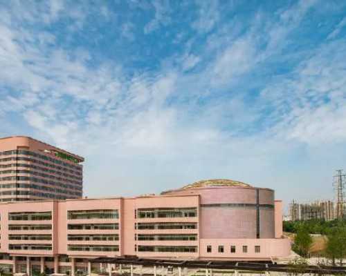 试管婴儿费用与高龄生育风险解析