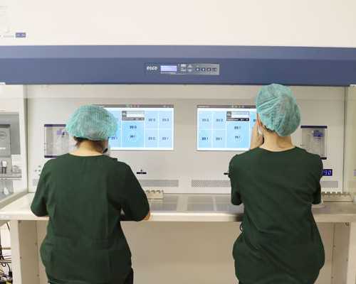 高龄借卵自怀与试管婴儿费用全解析