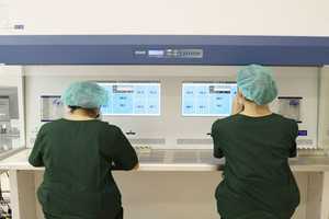 高龄借卵自怀与试管婴儿费用全解析